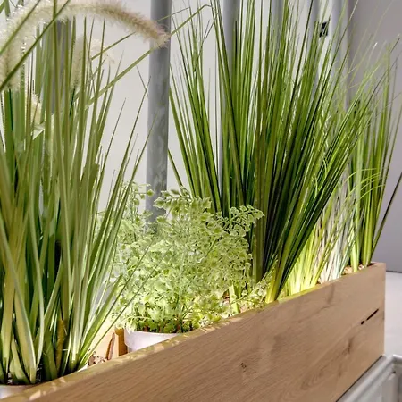 Aeolia Boutique Konukevi Ermoupoli