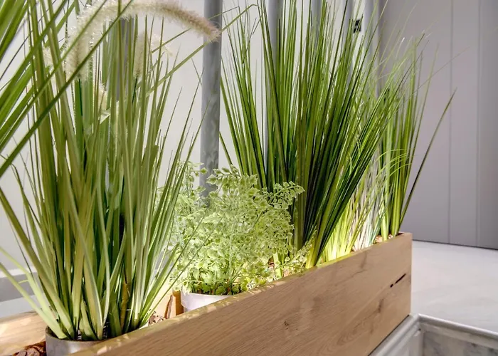 Aeolia Boutique Vendégház Ermúpoli